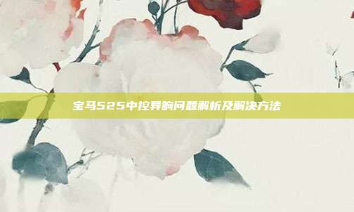 宝马525中控异响问题解析及解决方法