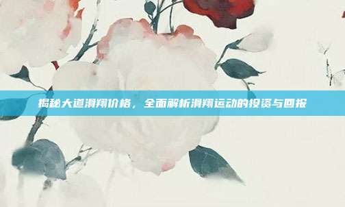 揭秘大道滑翔价格,全面解析滑翔运动的投资与回报