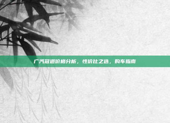 广汽冠道价格分析，性价比之选，购车指南