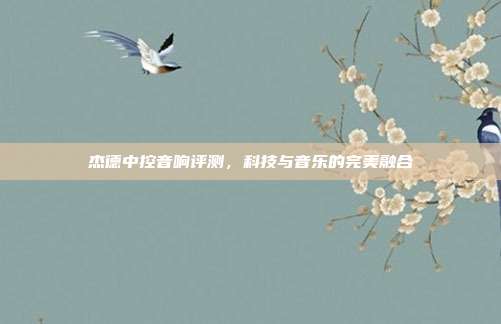 杰德中控音响评测，科技与音乐的完美融合