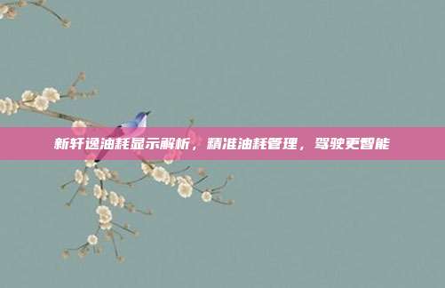 新轩逸油耗显示解析,精准油耗管理,驾驶更智能