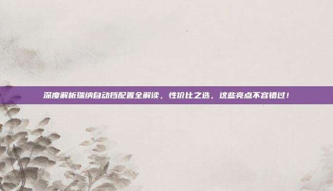 深度解析瑞纳自动挡配置全解读，性价比之选，这些亮点不容错过！