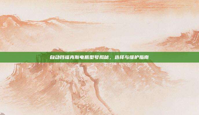 自动挡福克斯电瓶型号揭秘,选择与维护指南