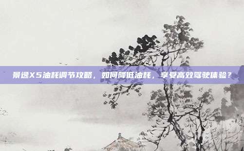 景逸X5油耗调节攻略,如何降低油耗,享受高效驾驶体验?