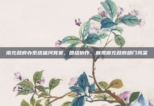 南充政府办系统拔河竞赛,团结协作,展现南充政府部门风采