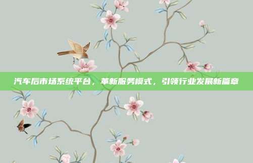 汽车后市场系统平台,革新服务模式,引领行业发展新篇章