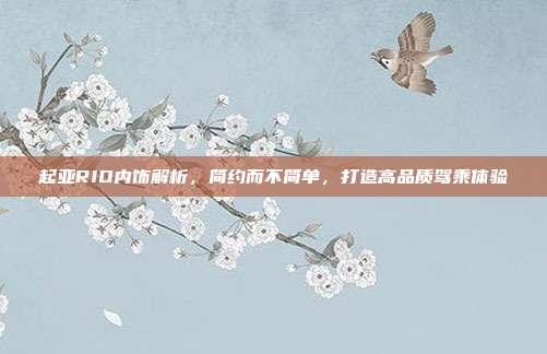 起亚RIO内饰解析，简约而不简单，打造高品质驾乘体验