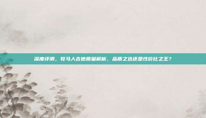 深度评测，牧马人吉他质量解析，品质之选还是性价比之王？