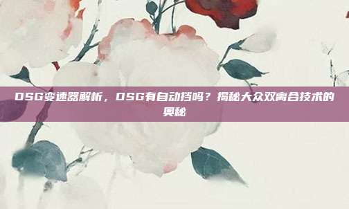 DSG变速器解析，DSG有自动挡吗？揭秘大众双离合技术的奥秘