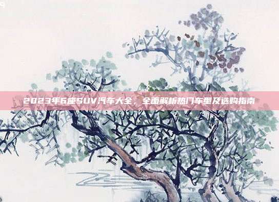 2023年6座SUV汽车大全,全面解析热门车型及选购指南