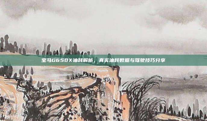 宝马G650X油耗解析，真实油耗数据与驾驶技巧分享