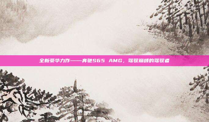 全新豪华力作——奔驰S65 AMG,驾驭巅峰的驾驭者