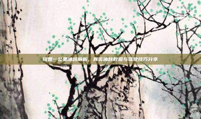 缤智一公里油耗解析，真实油耗数据与驾驶技巧分享