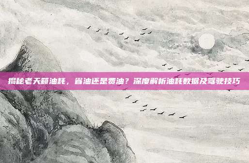 揭秘老天籁油耗,省油还是费油?深度解析油耗数据及驾驶技巧