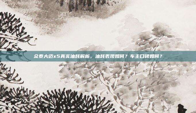 众泰大迈x5真实油耗解析，油耗表现如何？车主口碑如何？