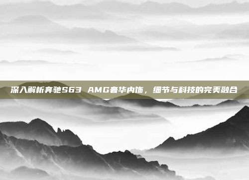 深入解析奔驰S63 AMG奢华内饰，细节与科技的完美融合