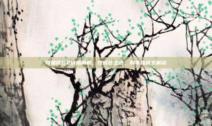 奇瑞风云2价格解析，性价比之选，购车指南全解读