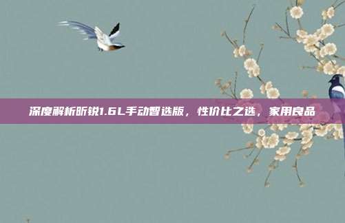 深度解析昕锐1.6L手动智选版,性价比之选,家用良品