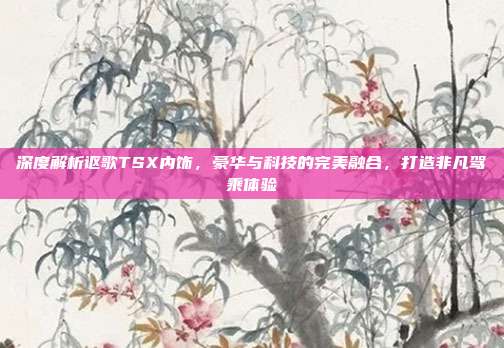 深度解析讴歌TSX内饰,豪华与科技的完美融合,打造非凡驾乘体验