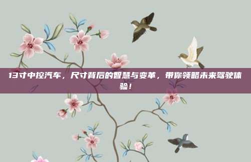 13寸中控汽车，尺寸背后的智慧与变革，带你领略未来驾驶体验！