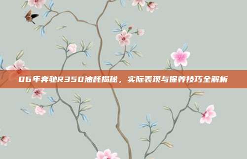 06年奔驰R350油耗揭秘,实际表现与保养技巧全解析