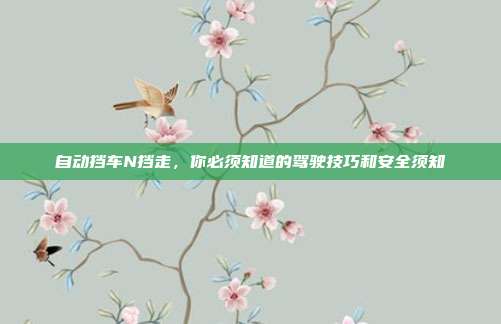 自动挡车N挡走，你必须知道的驾驶技巧和安全须知