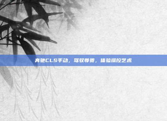 奔驰CLS手动，驾驭尊贵，体验操控艺术