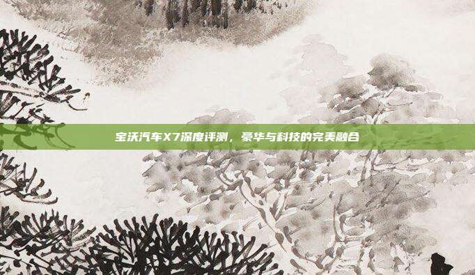 宝沃汽车X7深度评测，豪华与科技的完美融合