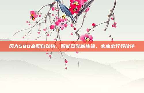 风光580高配自动挡，智能驾驶新体验，家庭出行好伙伴