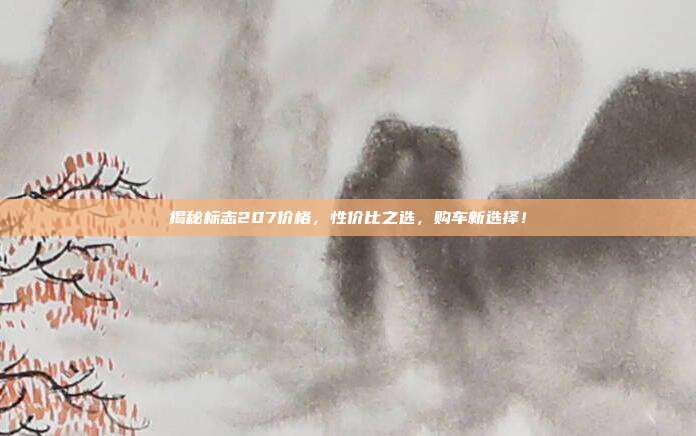 揭秘标志207价格，性价比之选，购车新选择！