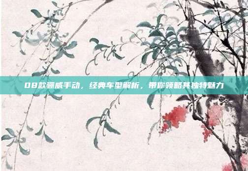 08款骊威手动,经典车型解析,带你领略其独特魅力