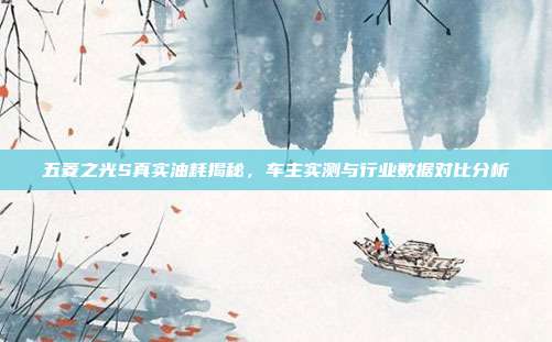 五菱之光S真实油耗揭秘,车主实测与行业数据对比分析