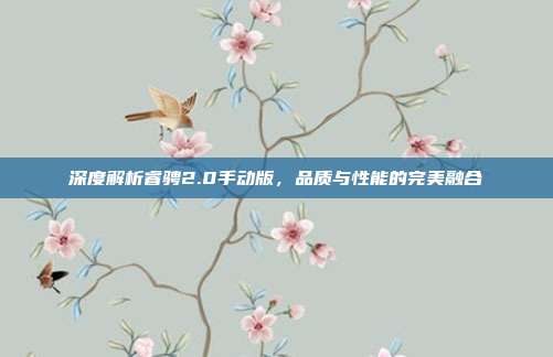 深度解析睿骋2.0手动版，品质与性能的完美融合