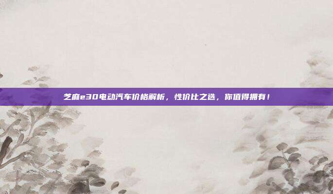 芝麻e30电动汽车价格解析,性价比之选,你值得拥有!