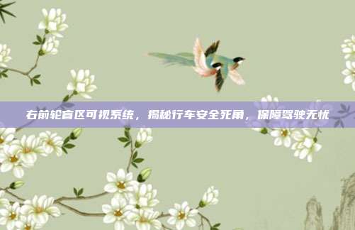 右前轮盲区可视系统，揭秘行车安全死角，保障驾驶无忧