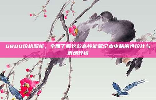 G800价格解析，全面了解这款高性能笔记本电脑的性价比与市场行情