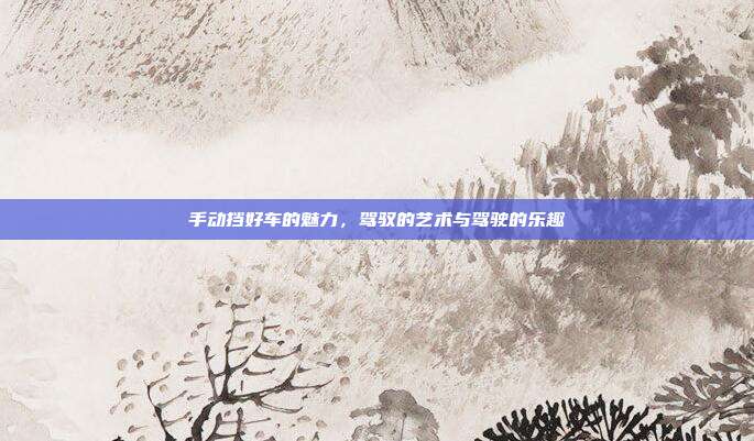 手动挡好车的魅力,驾驭的艺术与驾驶的乐趣