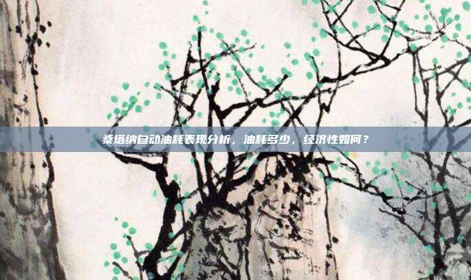 桑塔纳自动油耗表现分析，油耗多少，经济性如何？