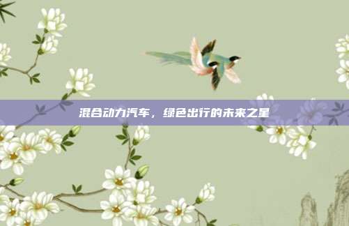 混合动力汽车,绿色出行的未来之星