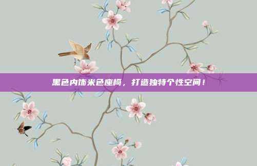 黑色内饰米色座椅，打造独特个性空间！