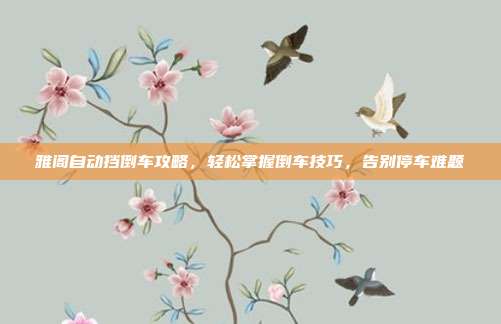 雅阁自动挡倒车攻略，轻松掌握倒车技巧，告别停车难题