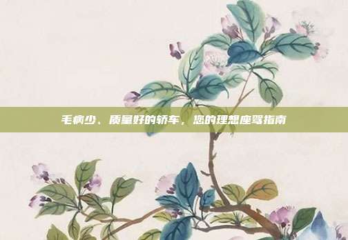 毛病少、质量好的轿车，您的理想座驾指南