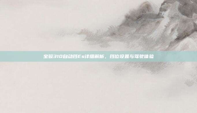 宝骏310自动挡Es详细解析，挡位设置与驾驶体验
