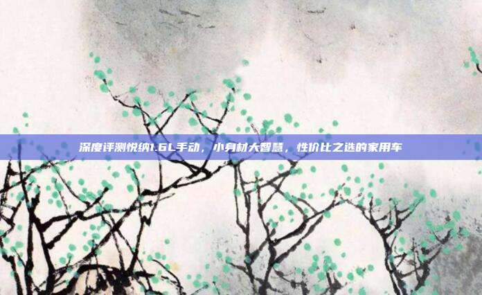 深度评测悦纳1.6L手动，小身材大智慧，性价比之选的家用车