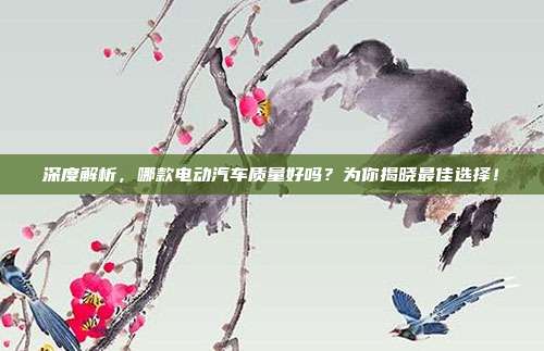 深度解析,哪款电动汽车质量好吗?为你揭晓最佳选择!
