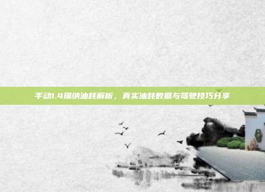 手动1.4瑞纳油耗解析，真实油耗数据与驾驶技巧分享
