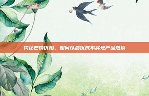 揭秘芒销价格,如何以最优成本实现产品热销