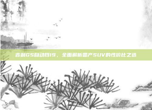 吉利GS自动挡19,全面解析国产SUV的性价比之选