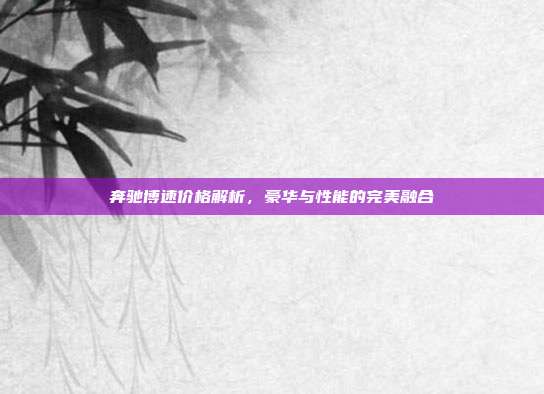 奔驰博速价格解析，豪华与性能的完美融合