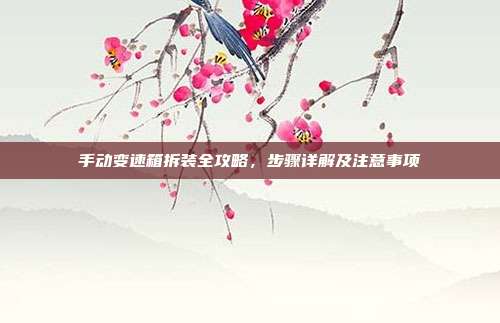 手动变速箱拆装全攻略，步骤详解及注意事项